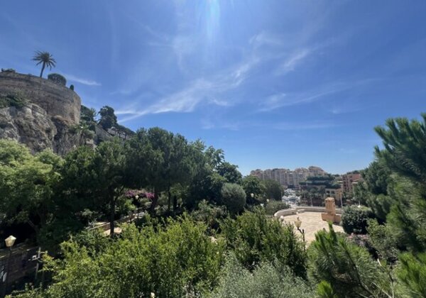 COMMERCIAL PREMISES MICHELANGELO