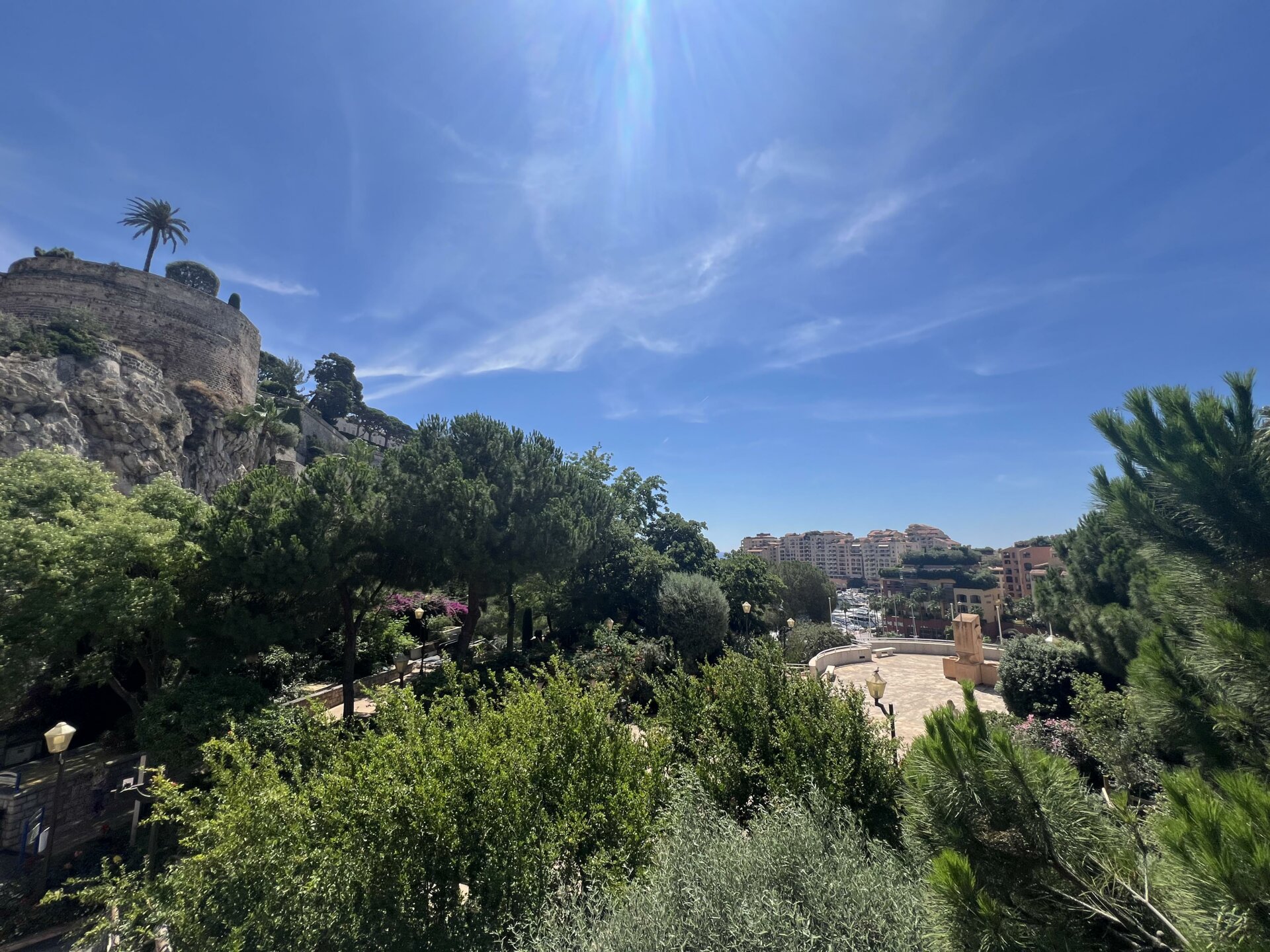 COMMERCIAL PREMISES MICHELANGELO : 1/2